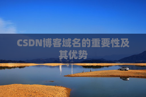 CSDN博客域名的重要性及其优势
